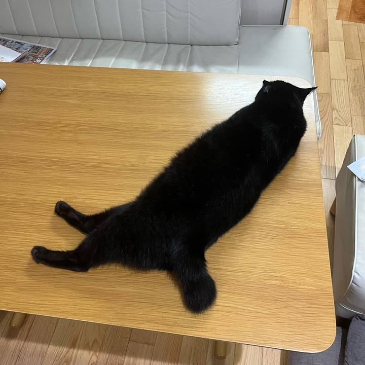 B589ff5a 8fc6 4ba0 a693 62ca5a361d57 1660787277741