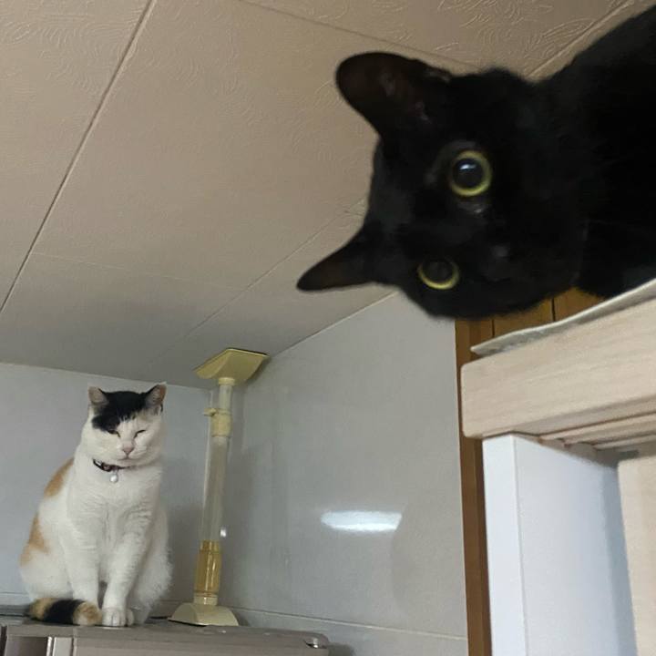 B58a1d3f d737 4563 8c4a 36b80f67c2de 1651697877717