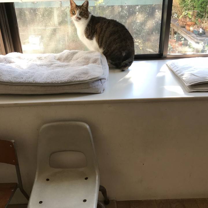 B58a8698 829e 45a7 842e fce20d50050d 1513136271486