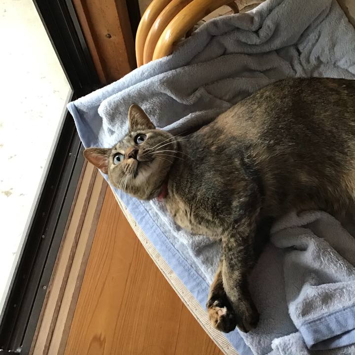 B58ad032 b9df 4a76 8112 c0242402245c 1629882134535