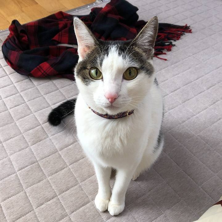 B58adacc e44e 4b6c 8c56 4ea747881d3d 1643010750793