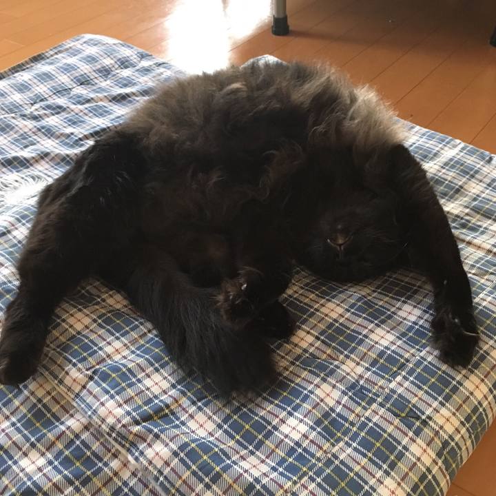 B58af82b 5227 4934 9164 46ac14555524 1508138727557