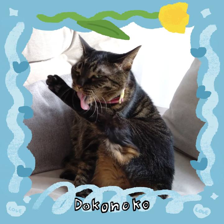 B58b157a cdbb 4c4e b816 04120c1fd01c 1772004033751