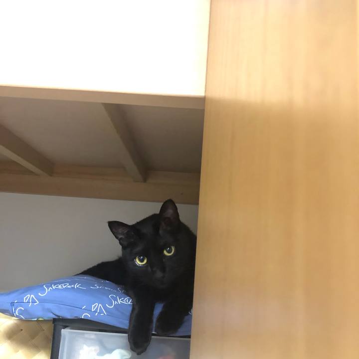 B58b4413 6854 4128 b2bc 03d592de5949 1549543384030