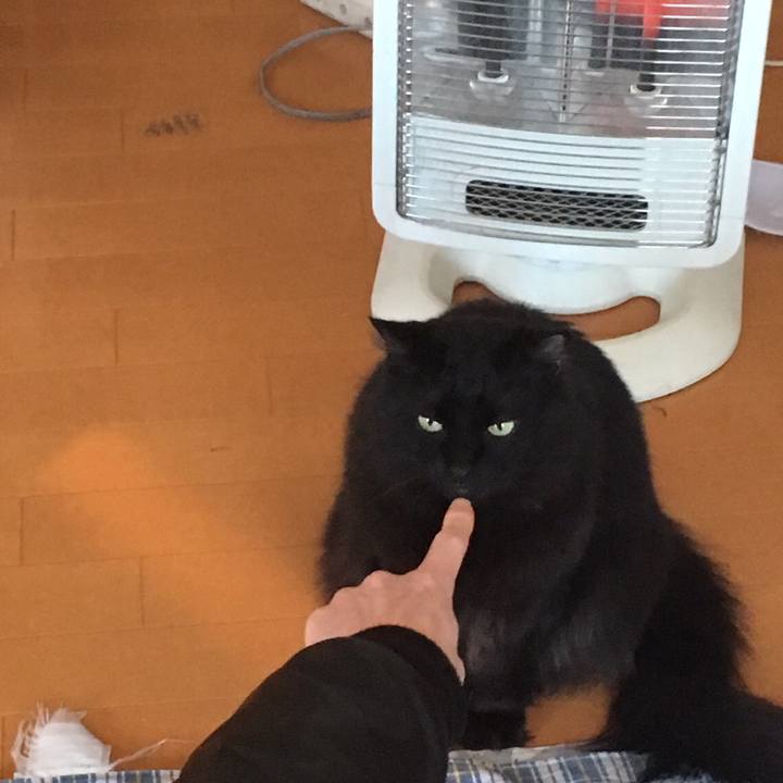 B58b5109 ab31 457d a161 44547b69780b 1511738738277