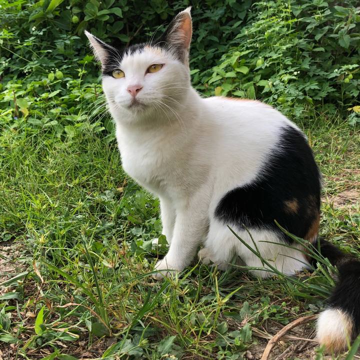 B58b587d b8e0 4c2a 8ad7 90000f9d062d 1599347423456