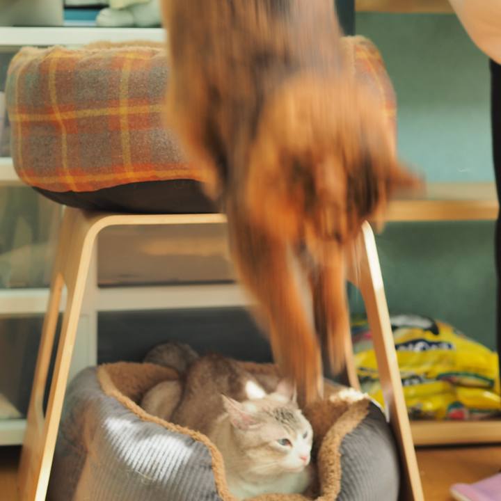 B58ba2a0 69d6 4c1f 9e2f d12ef48183a7 1730008149743