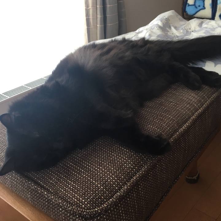 B58ba7d0 d214 45be ba7b bd43ae034116 1516668306738