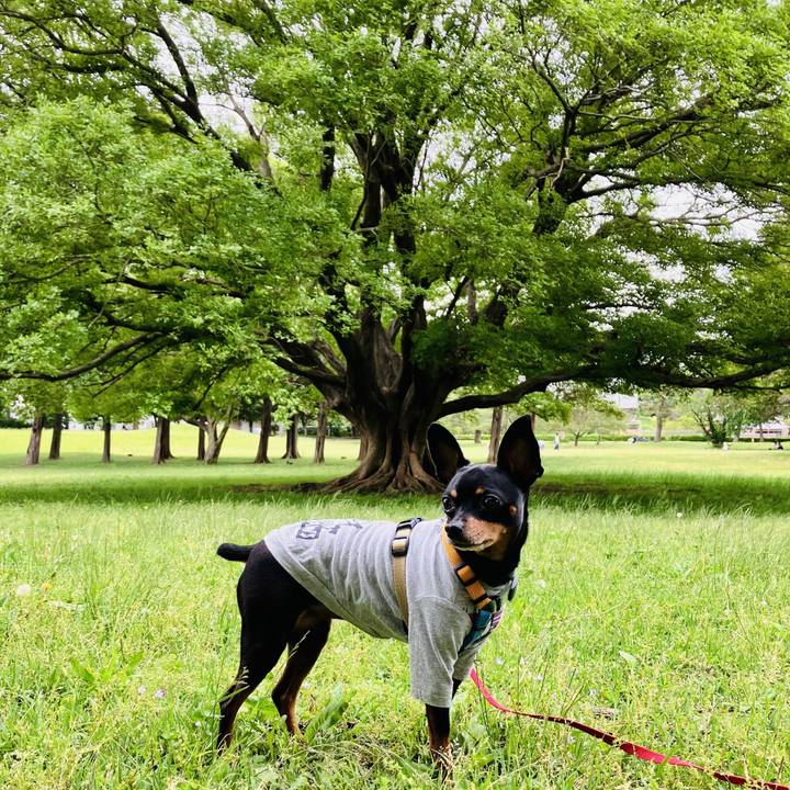 B58c5ec9 7eda 4924 8df7 68102e930ce4 1715517605850