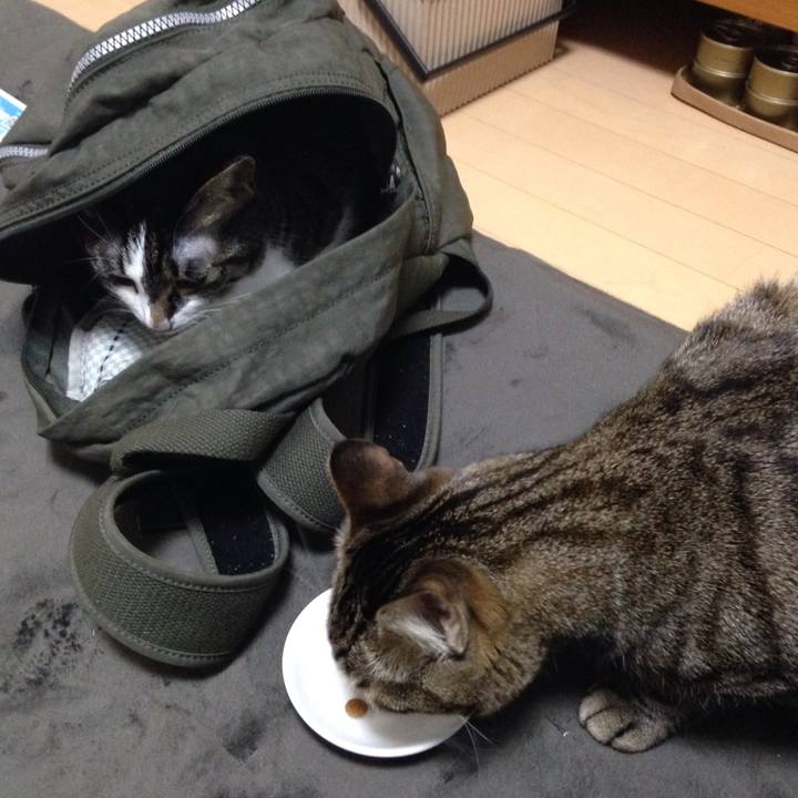 B58c6660 dfec 4797 b975 09ebd6d33b64 1514181781028