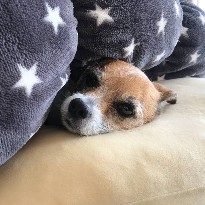 B58c7117 24e4 47fc 9cf3 7226b8a0f43d 1519952931302