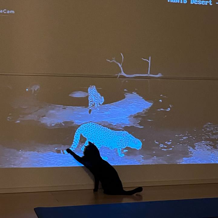 B58c9e61 2c77 49ba 9679 cf3f5686fe55 1766057318778