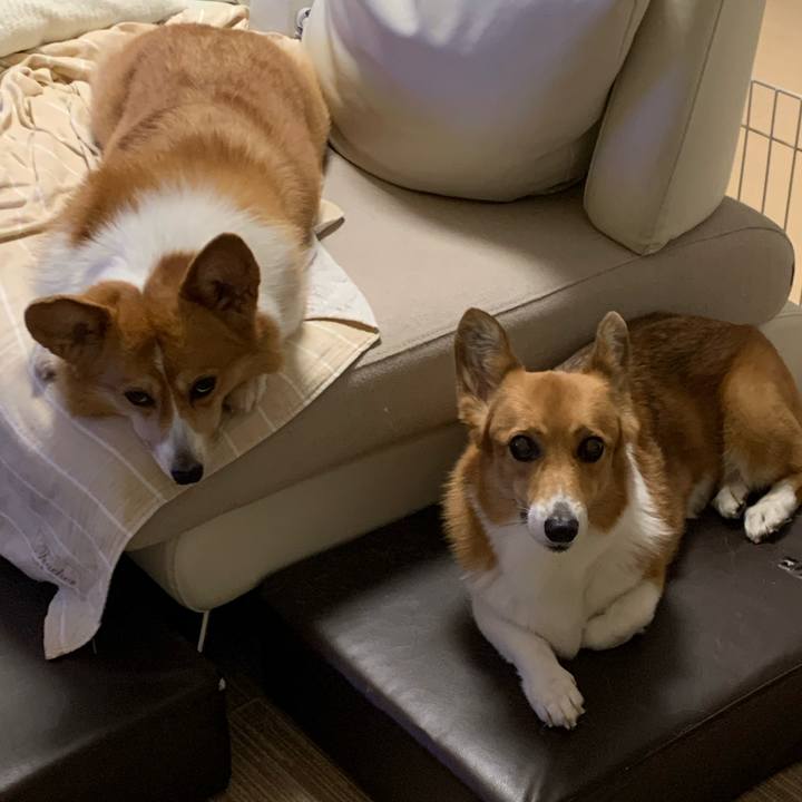 B58cae65 1a6d 4ac2 b7e3 2d9527ae87a5 1599085360613