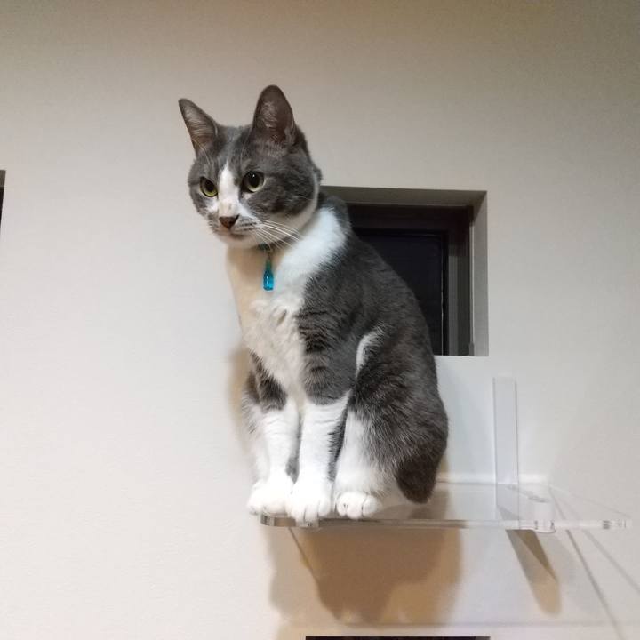 B58cd48e 9931 4dc3 a257 fb4d04b68f85 1636791128860