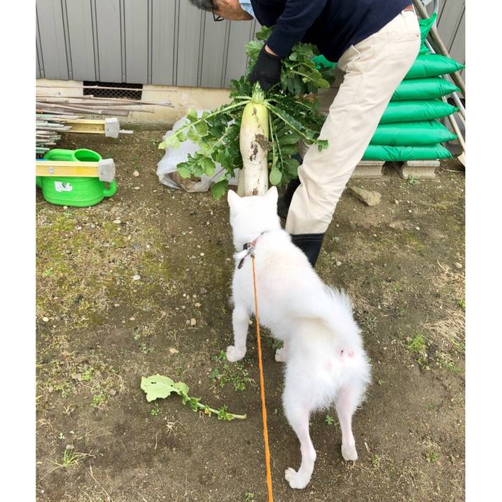 B58ce122 336d 4f8a ba1b a7d1a46324ca 1577023951276