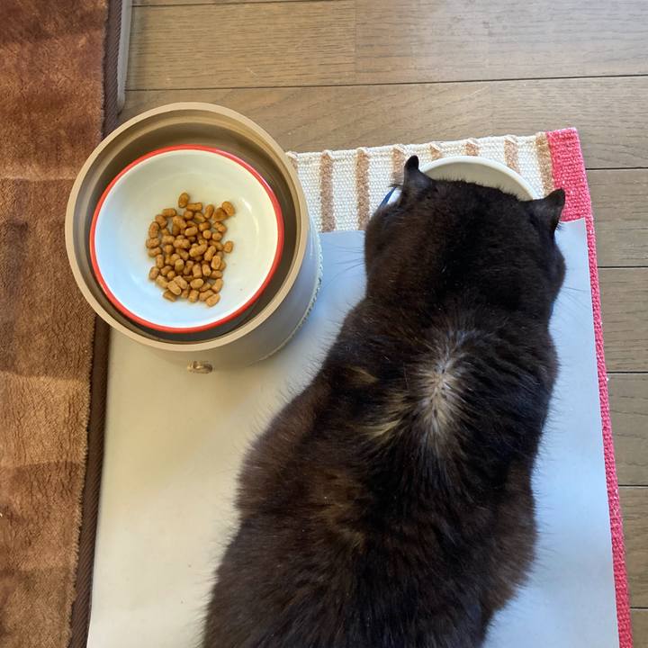 B58ce571 e0c8 482c 8373 491b54b5177c 1643370184055