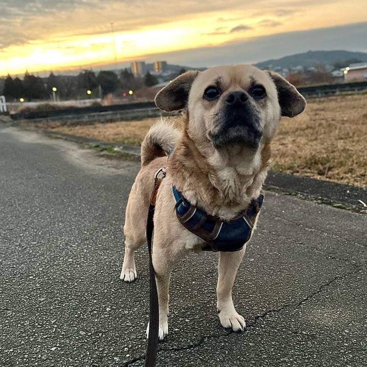 B58cf4c0 3440 420b 8b3f 53d973823230 1771279056389