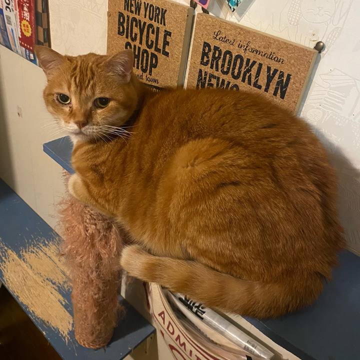 B58cfb81 0000 4f8b b928 8e60e5e5117f 1653321014956