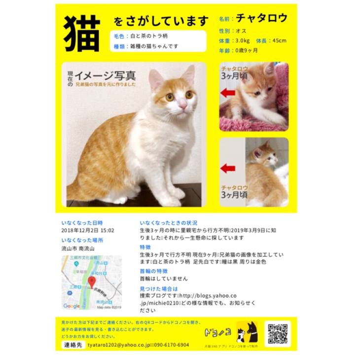 B58da336 b349 488c b3c7 dc8911f02bf9 1559774830875