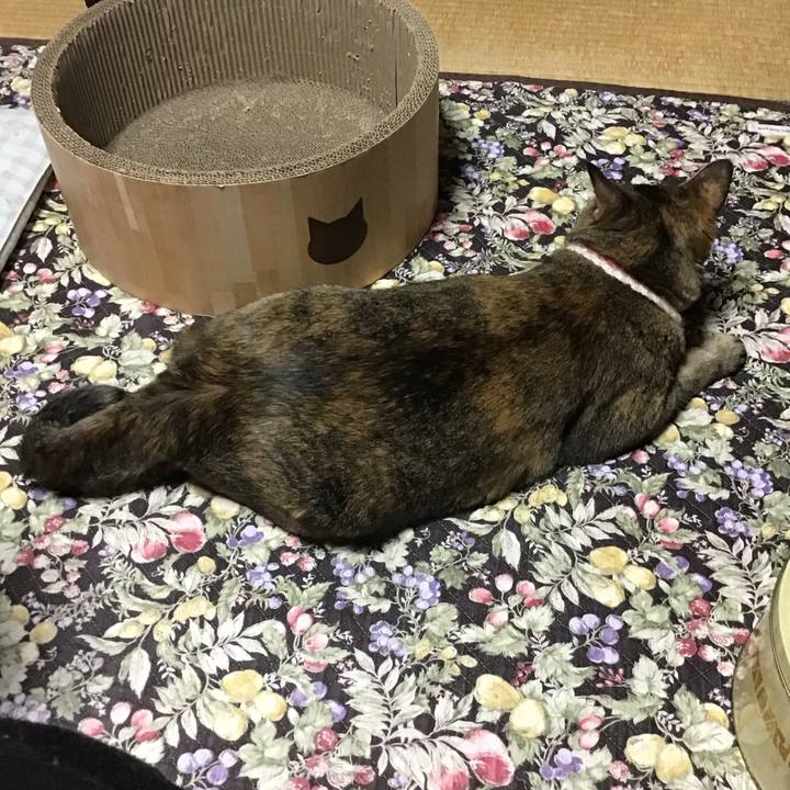 B58de796 993b 4346 8b4f b816248367d8 1718280689294