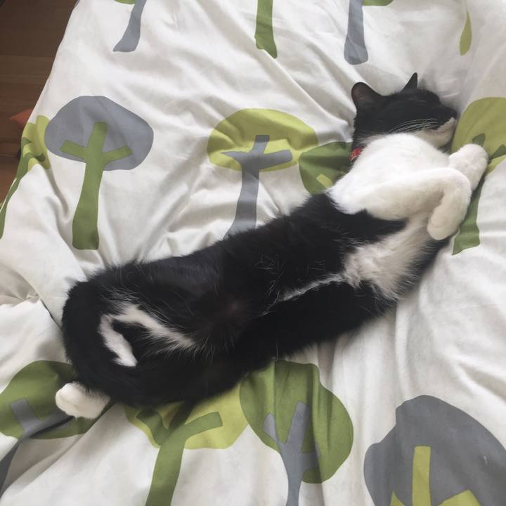 B58df59b 1a80 4e42 9809 9620e32d8bcc 1528178009001