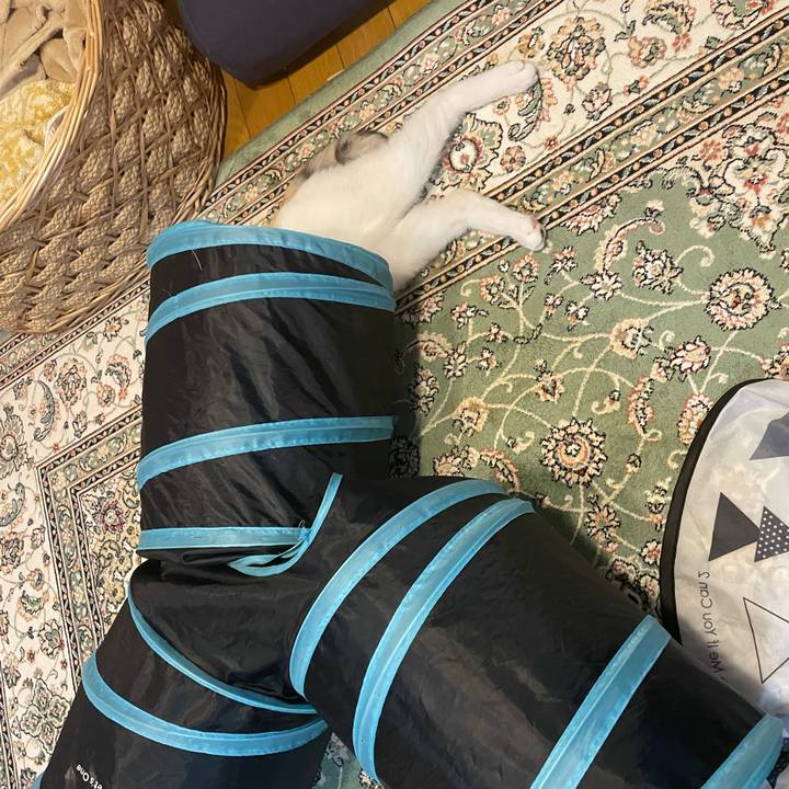 B58df974 5196 450a 8755 0bc53f2516b4 1682424669269