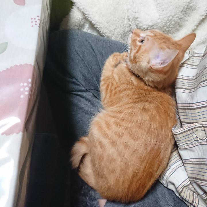 B58e15b3 dc73 407c a7df 13d7e3fe9b35 1632865858747