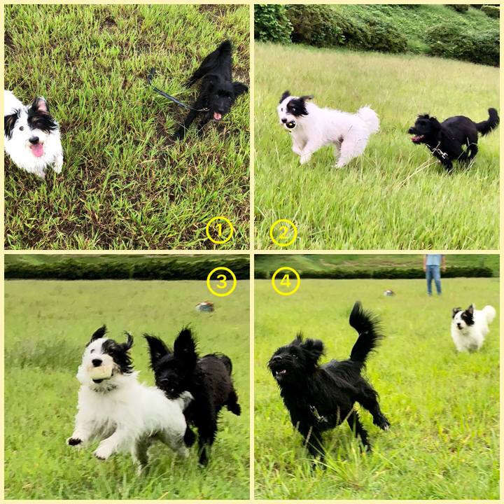 B58e1ca5 7600 4de1 bc11 831ccecaee56 1537833765601