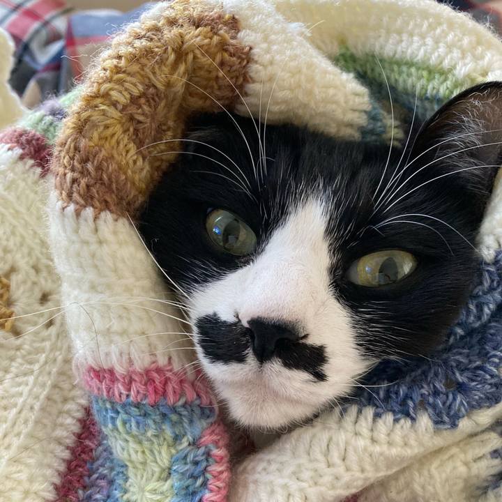 B58e6ef1 2db5 430e 9f09 a9189fe6f6f0 1768656148742