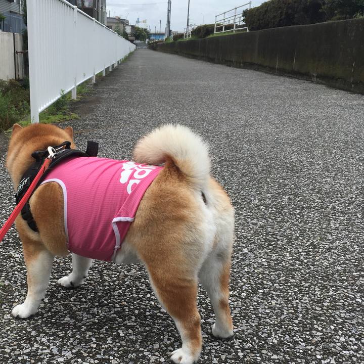 B58eaecf f2f6 4c3a bbff 4136bd57bef8 1594008261731