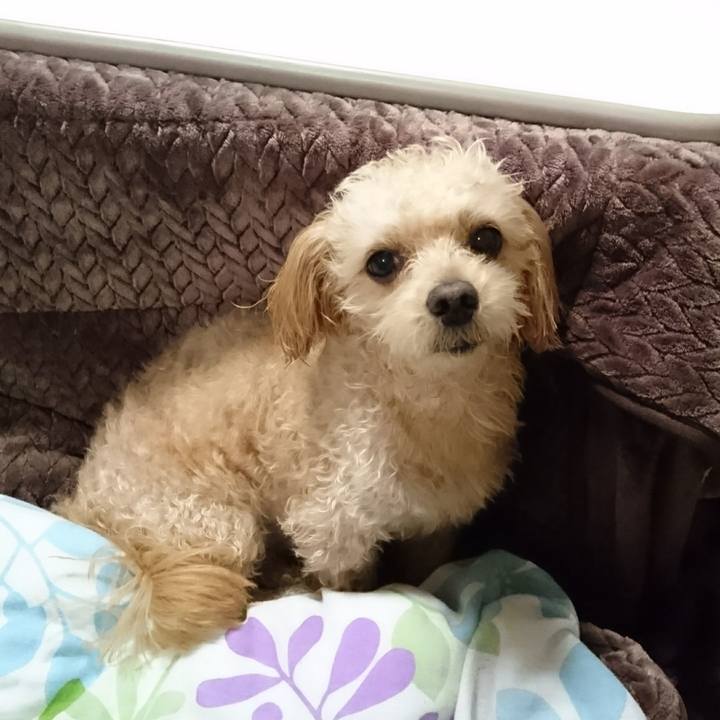 B58ecc79 9110 4c52 aacf 22aafdd1a697 1606649994023