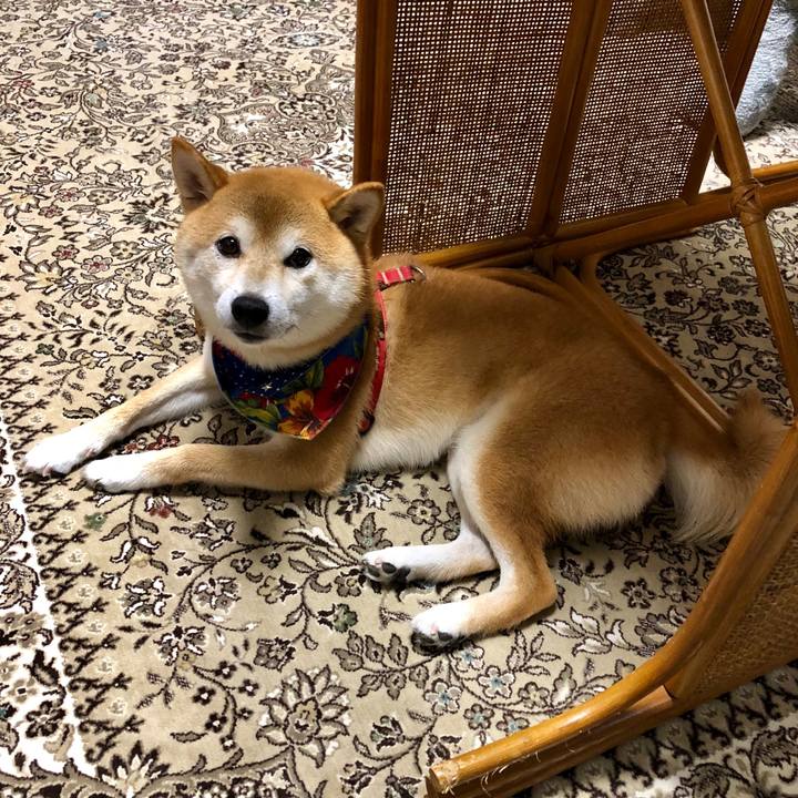 B58eebe6 ae16 4f4e 8ec9 ee2dfe247fe9 1536401145526