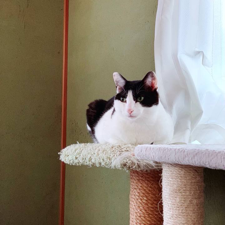 B58f1eea beef 4e05 bee4 74e92f99057f 1554861472118