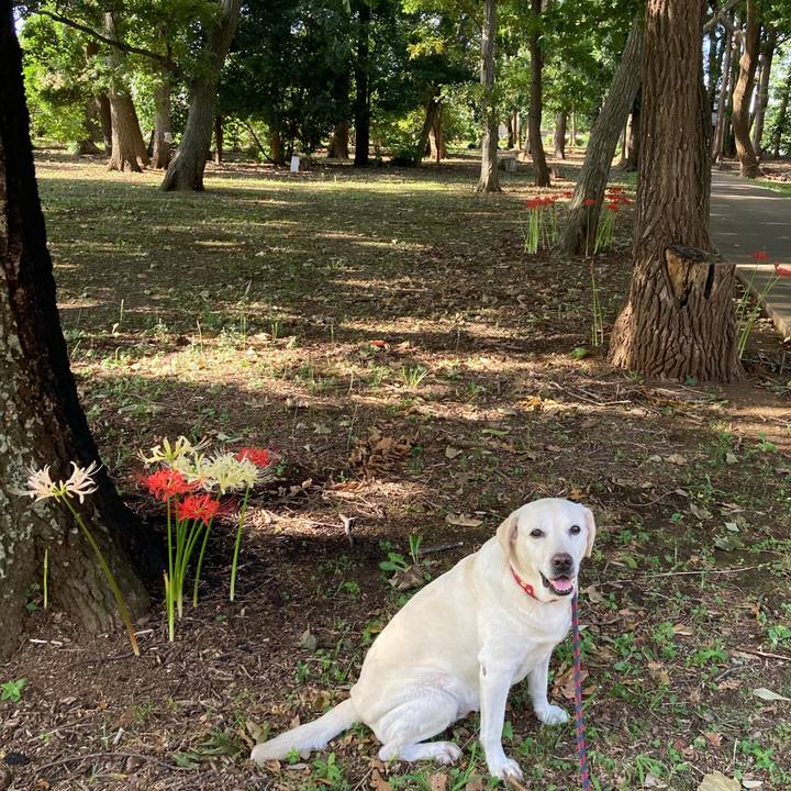 B58f25c3 9260 46a8 9400 664d6b8d8424 1758501440781