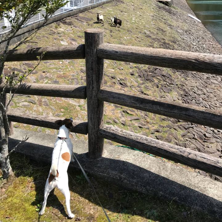 B58f515d 1990 4e4b b8b4 74ca2c02505d 1523178842049