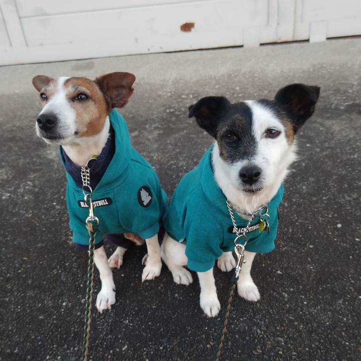 B58f5f56 183c 4992 a2dc f4bacad02248 1767479704741