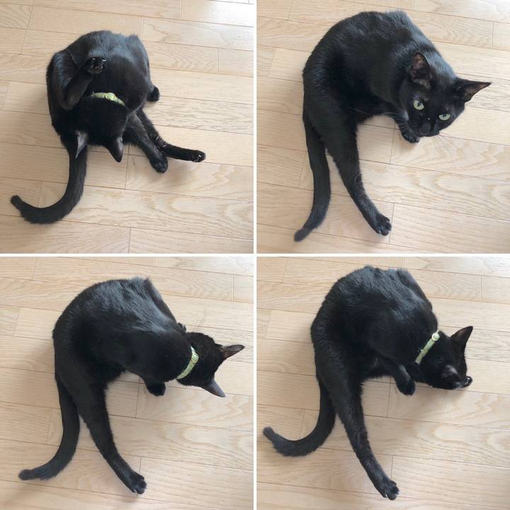 B58f77eb a142 4f0d bba7 7dd2fdf5f78b 1558350718031