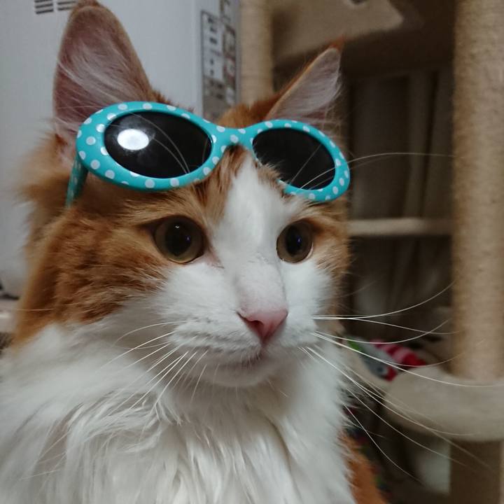 B58f8fe2 3d23 485b b384 423bd47dc7aa 1559744495117