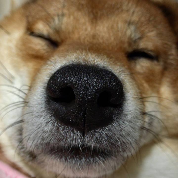 B58f9b8a 6ad4 4a1d be6c 4801cecb1ec8 1523360951966