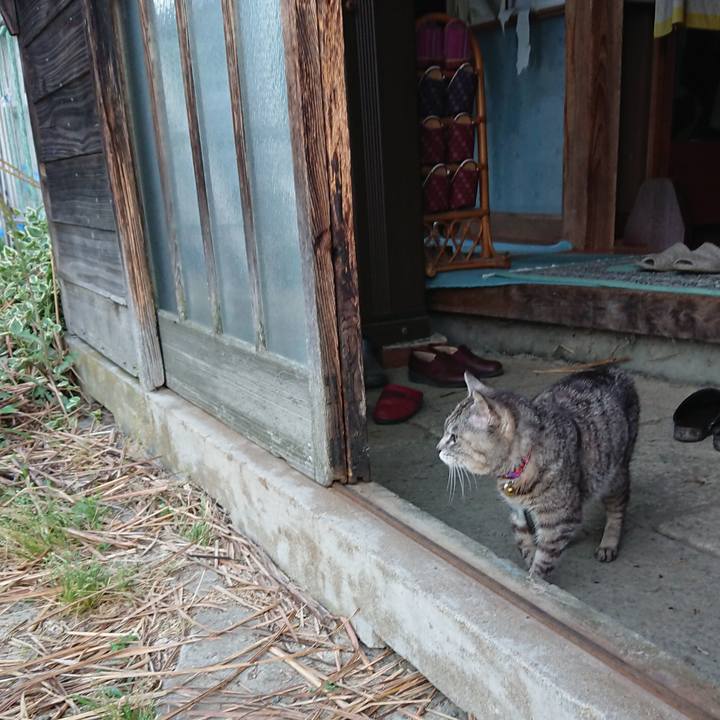 B58fc64d a2ac 487f a7eb 1fb57cfa5755 1592079539778