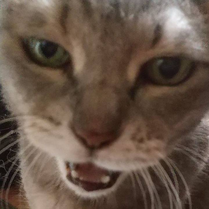 B58fe535 bce8 421f b84f 5faaae4e79b3 1694838168732