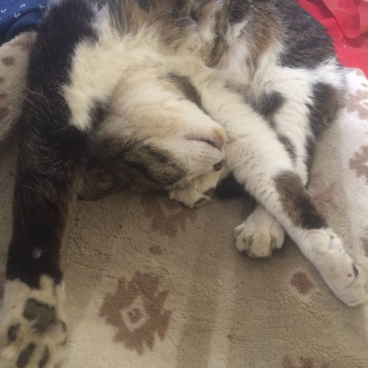 B58ff5de eb28 47e6 b39c 4dfcd62e5bfe 1525440910889