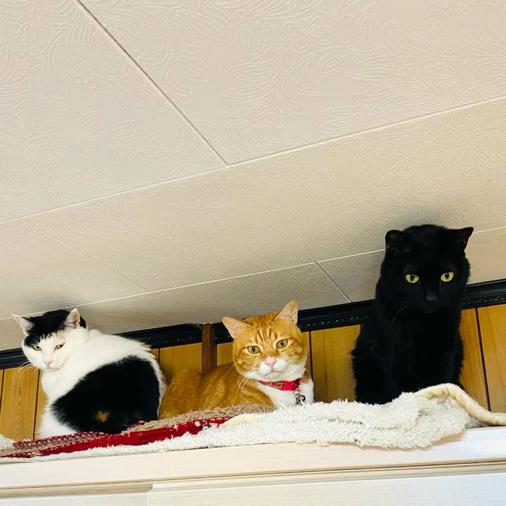 B58ffa53 8515 4f93 a3ab 646e51f1cf35 1700959279732