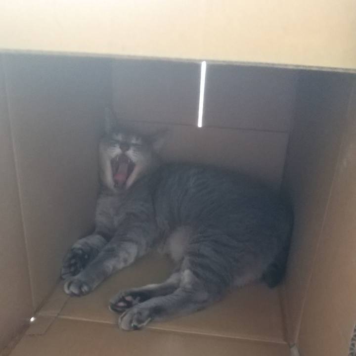 B58ffd49 1a8c 47c8 ac20 72634f46c2ed 1659663964002