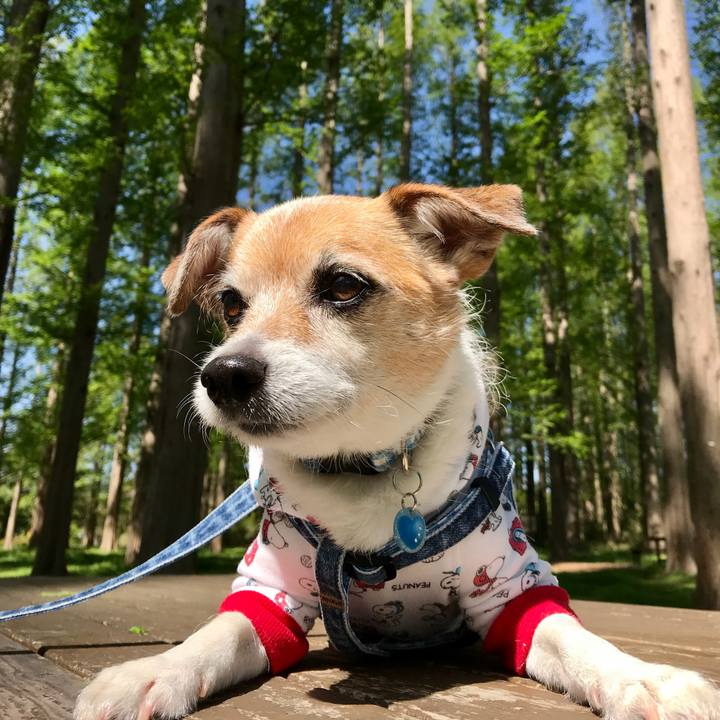 B59009bc 26a3 43c5 aa09 030299f4e250 1618024809841