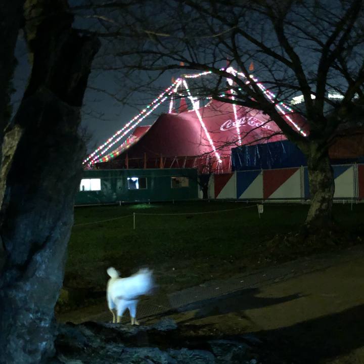 B5900f27 3131 480b ae36 f592c4040c7c 1580730716829