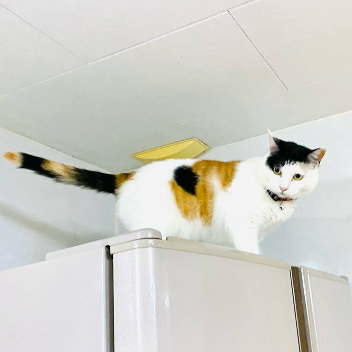 B59036d5 05dc 4456 af81 facd5ab43c7d 1683983745006