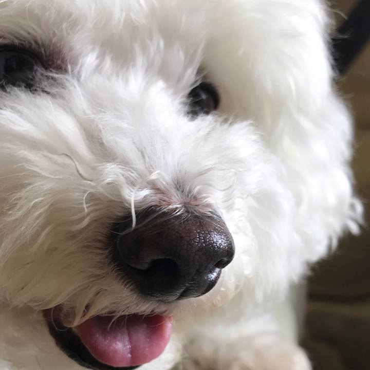 B59053e8 ae33 4b6e 8388 e075adcc9290 1572503943524