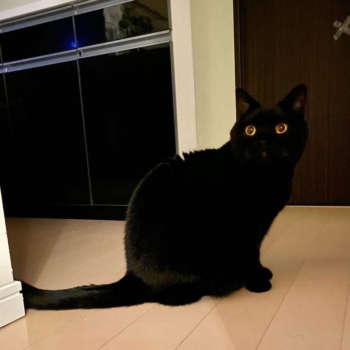 B590b370 ec29 4313 8c7d f81f558c6ab9 1670507982011