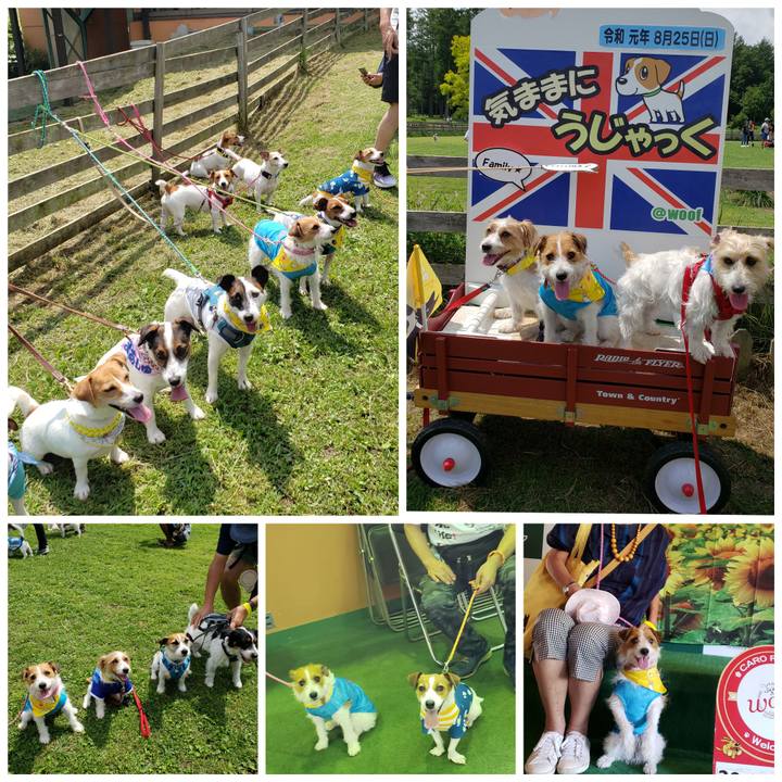 B590ba8c 0183 4c23 816f 6e2ded68d903 1566785748983